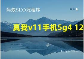 真我v11手机5g4+128