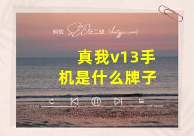 真我v13手机是什么牌子