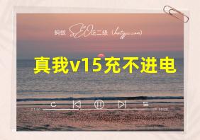 真我v15充不进电