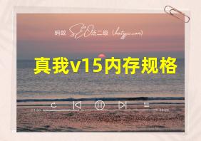 真我v15内存规格