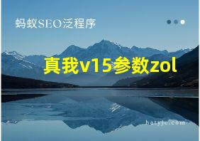 真我v15参数zol