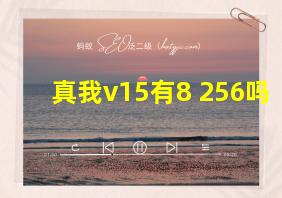 真我v15有8+256吗