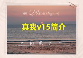 真我v15简介