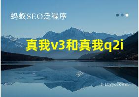 真我v3和真我q2i