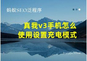 真我v3手机怎么使用设置充电模式