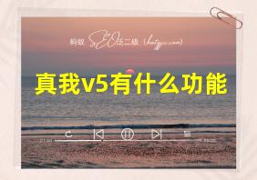 真我v5有什么功能