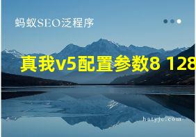 真我v5配置参数8+128