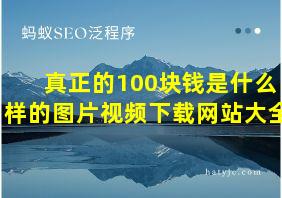 真正的100块钱是什么样的图片视频下载网站大全