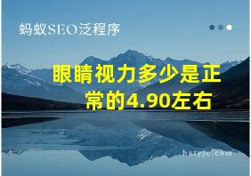 眼睛视力多少是正常的4.90左右