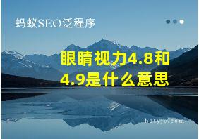 眼睛视力4.8和4.9是什么意思