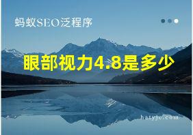 眼部视力4.8是多少