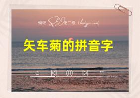 矢车菊的拼音字