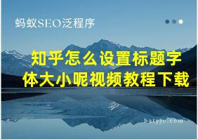 知乎怎么设置标题字体大小呢视频教程下载