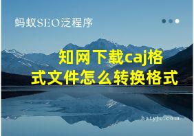 知网下载caj格式文件怎么转换格式