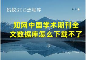 知网中国学术期刊全文数据库怎么下载不了