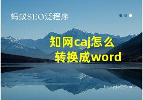 知网caj怎么转换成word