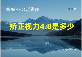 矫正视力4.8是多少