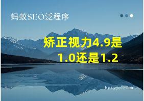 矫正视力4.9是1.0还是1.2