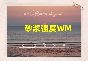 砂浆强度WM