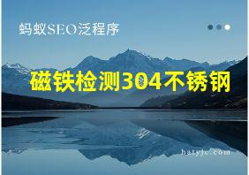 磁铁检测304不锈钢