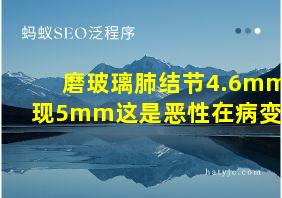 磨玻璃肺结节4.6mm现5mm这是恶性在病变吗