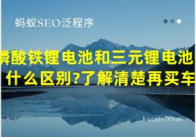 磷酸铁锂电池和三元锂电池有什么区别?了解清楚再买车!