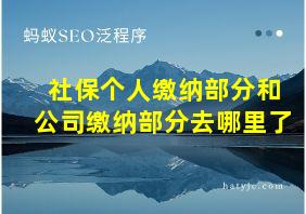 社保个人缴纳部分和公司缴纳部分去哪里了