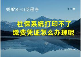 社保系统打印不了缴费凭证怎么办理呢