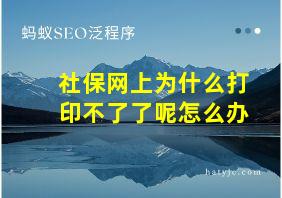 社保网上为什么打印不了了呢怎么办