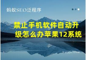 禁止手机软件自动升级怎么办苹果12系统