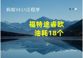 福特途睿欧油耗18个