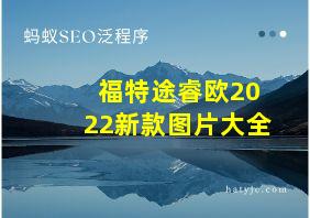 福特途睿欧2022新款图片大全