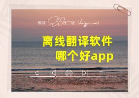 离线翻译软件哪个好app