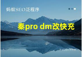 秦pro dm改快充