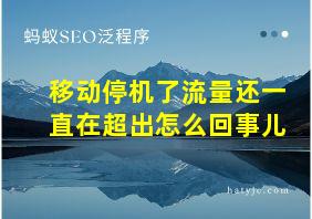 移动停机了流量还一直在超出怎么回事儿