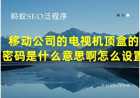 移动公司的电视机顶盒的密码是什么意思啊怎么设置