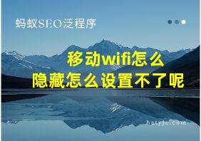 移动wifi怎么隐藏怎么设置不了呢