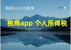 税局app 个人所得税