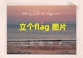 立个flag 图片