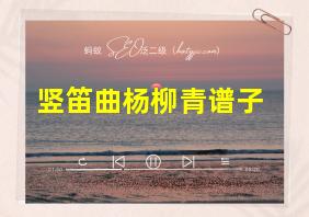 竖笛曲杨柳青谱子