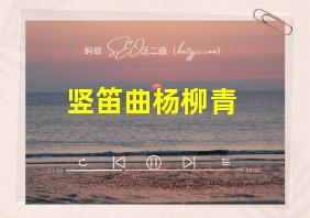 竖笛曲杨柳青