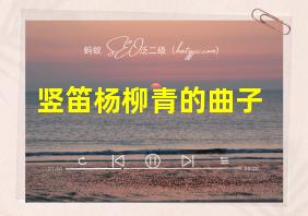 竖笛杨柳青的曲子