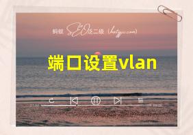 端口设置vlan