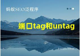 端口tag和untag