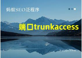 端口trunkaccess