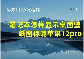 笔记本怎样显示桌面壁纸图标呢苹果12pro