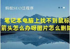 笔记本电脑上找不到鼠标箭头怎么办呀图片怎么删除