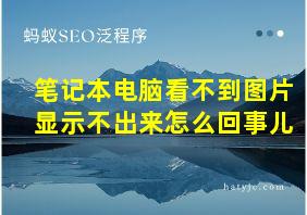 笔记本电脑看不到图片显示不出来怎么回事儿