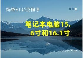 笔记本电脑15.6寸和16.1寸