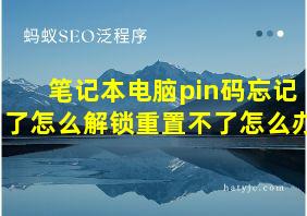 笔记本电脑pin码忘记了怎么解锁重置不了怎么办